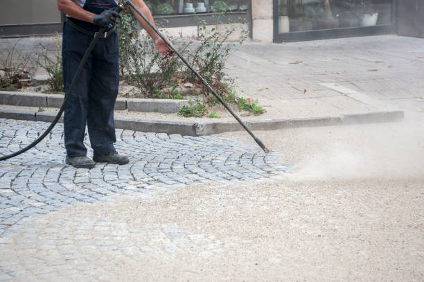 Best Fence Cleaning  in Pinckney, MI