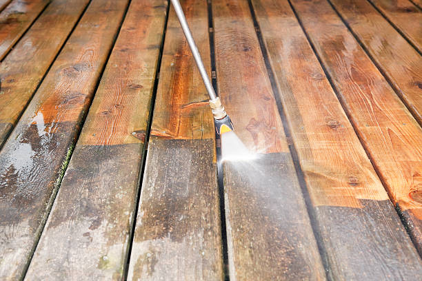 Best Rust Removal  in Pinckney, MI